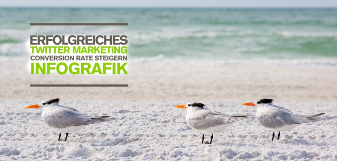 Wie funktioniert Twitter Marketing? 12 Tipps, um die Conversion Rate zu erhöhen.