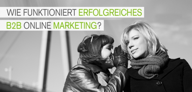B2B Online Marketing Infografik: B2B Social Media Strategie