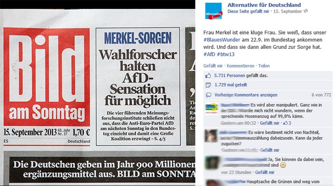 Facebook Page Analyse Parteien Wahlkampf 2013 Anzahl Fanwachstum alternative deutschland