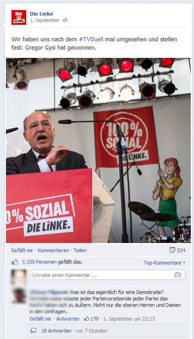 Facebook Page Analyse Parteien Wahlkampf 2013 Anzahl Fanwachstum die linke