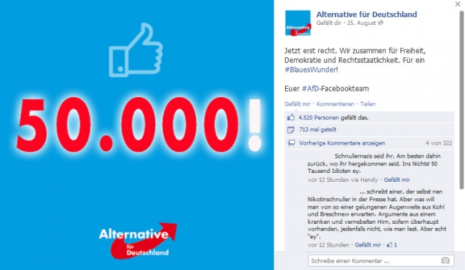Facebook Page Analyse Parteien Wahlkampf 2013 Anzahl Fanwachstum alternative deutschland