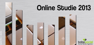 ARD ZDF Onlinestudie 2013 zur mobilen Internetnutzung Startbild