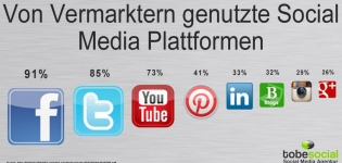 Grafik Social Media Plattformen
